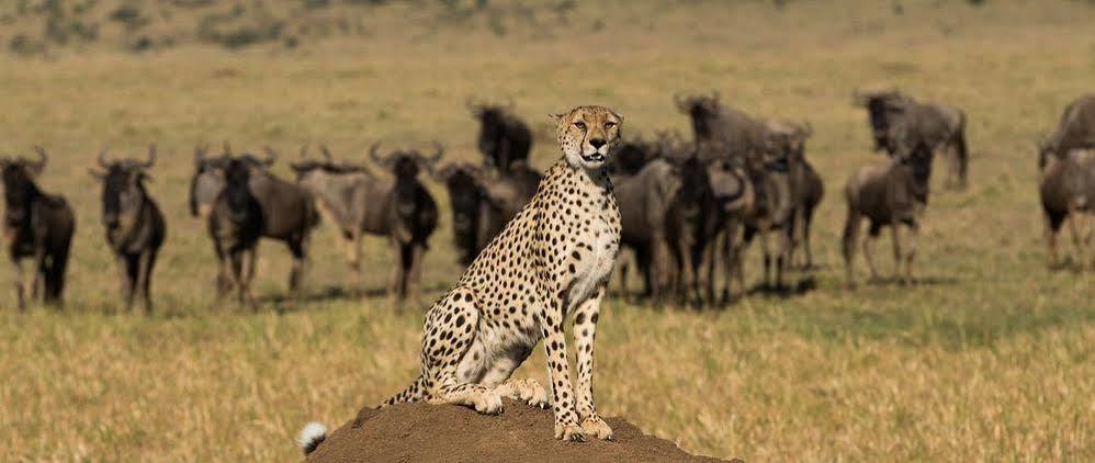 Hotel Mahali Mzuri Maasai Mara Exterior foto