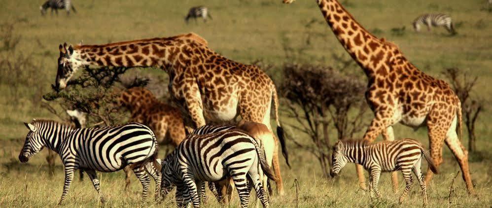 Hotel Mahali Mzuri Maasai Mara Exterior foto